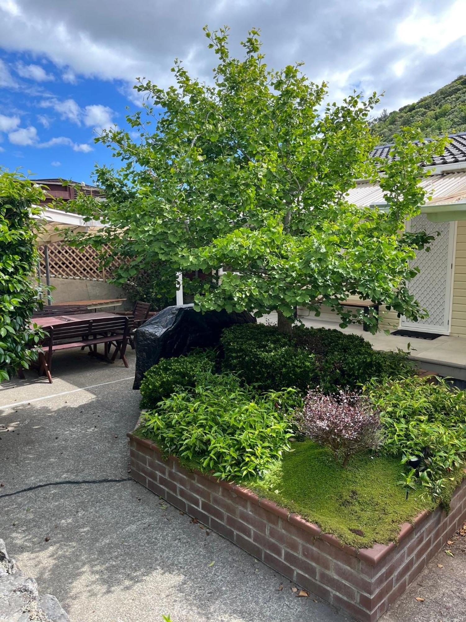 פורירואה Retro 4 Bedroom Home, Warm And Welcoming, Quiet Location מראה חיצוני תמונה